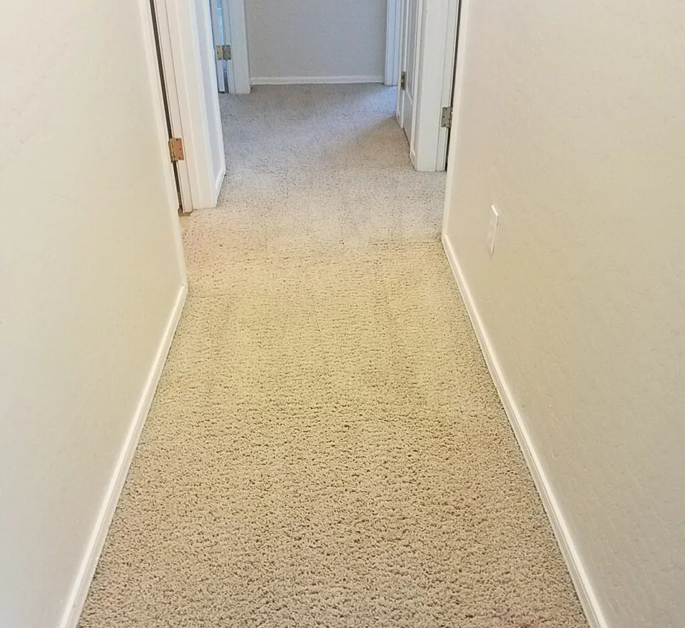 Carpet traffic lane in a Phoenix hallway after cleaning