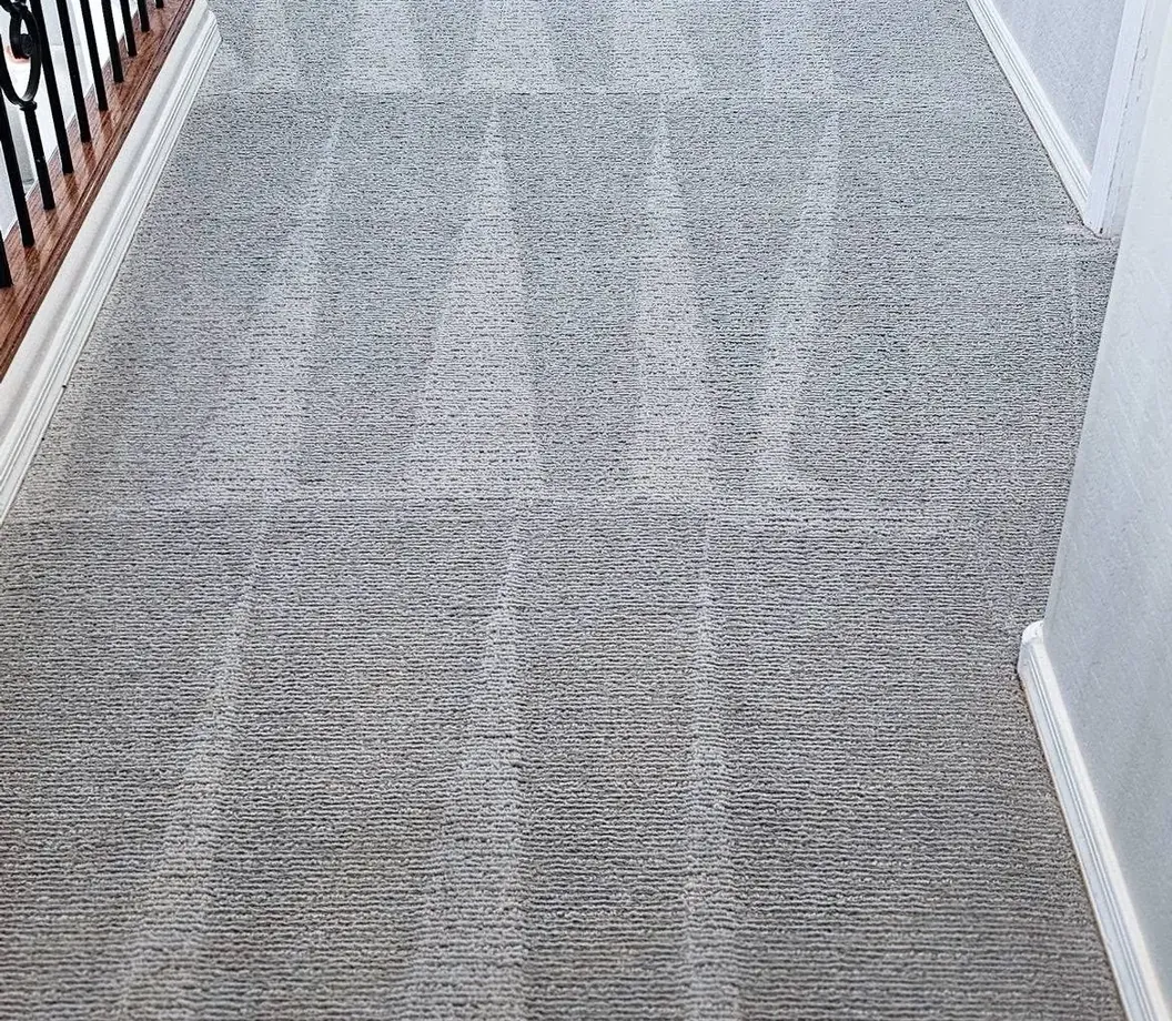 Freshly cleaned carpet in a Phoenix living room