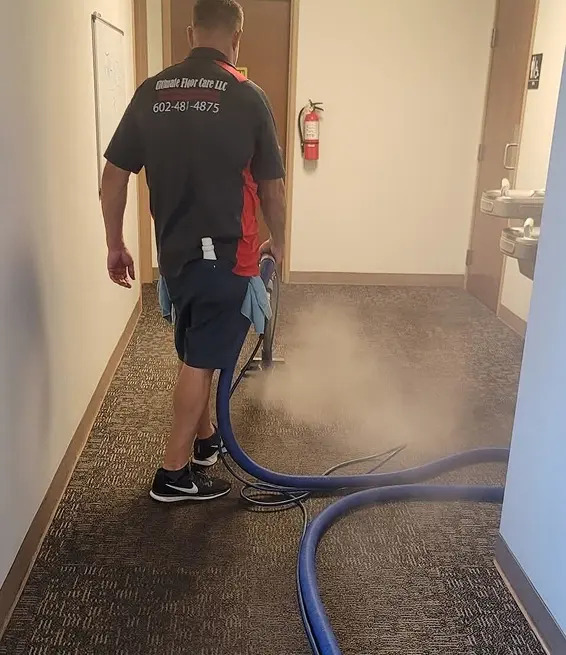 carpet and upholstery cleaning