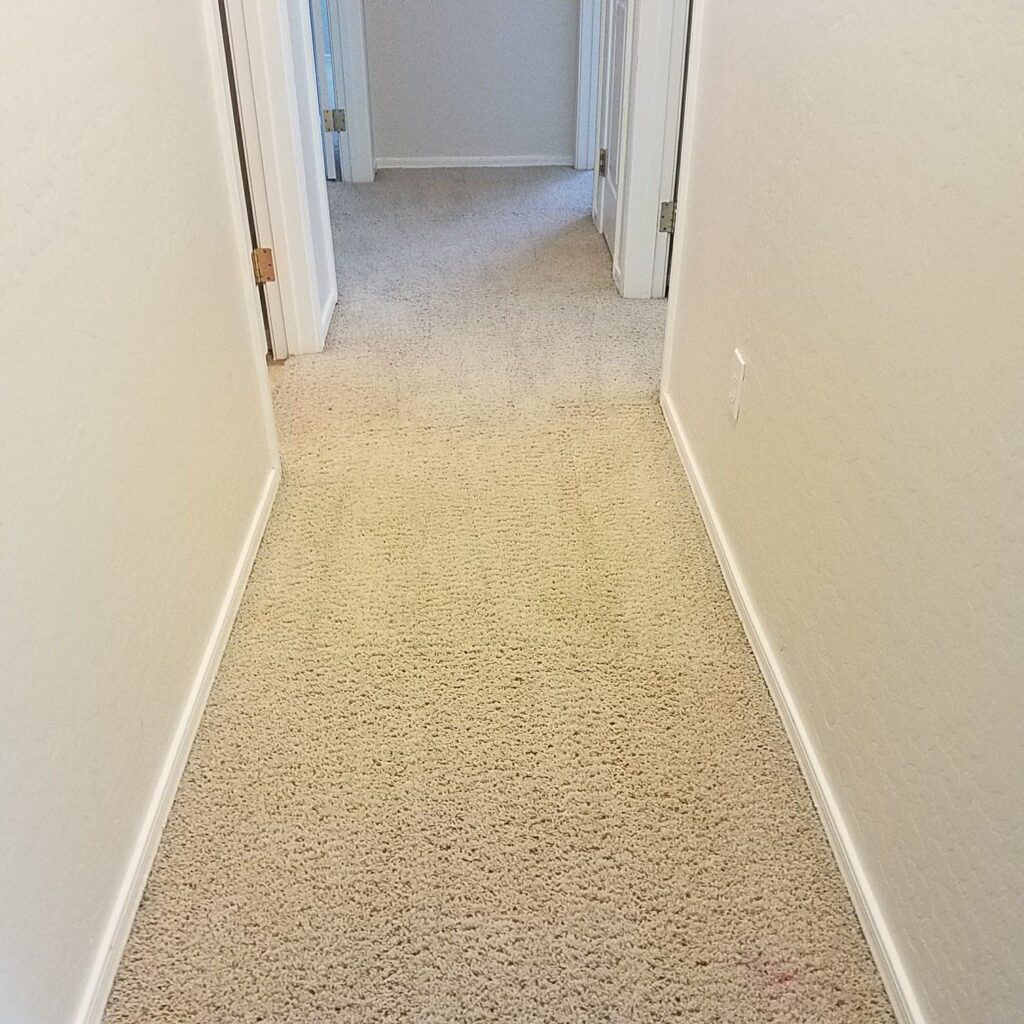 carpet cleaning after photo
